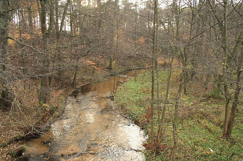 Rostoczek 11.2008 147